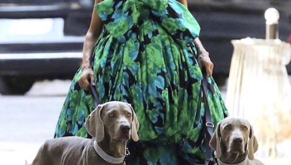 Serious cuteness alert